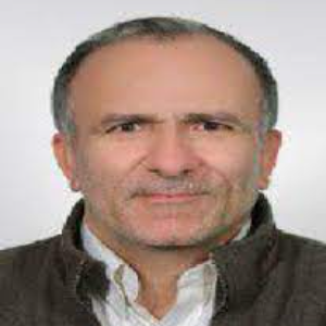 Ali Ramazani, Speaker at Chemical Engineering Conferences