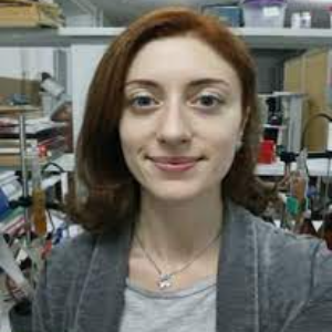 Linda Zh Nikoshvili, Speaker at Chemical Engineering Conferences