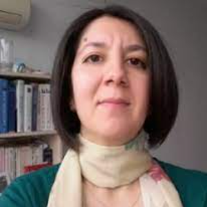 Ozlem  Alptekin, Speaker at Chemical Engineering Conferences